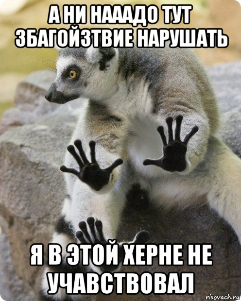 а ни нааадо тут збагойзтвие нарушать я в этой херне не учавствовал, Мем   Воу воу палегце я не збагоен