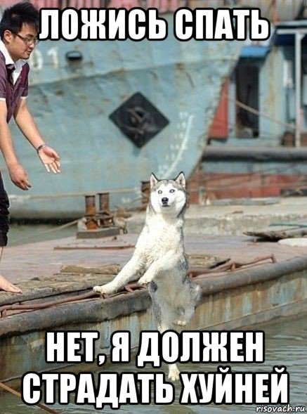 ложись спать нет, я должен страдать хуйней