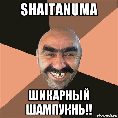 shaitanuma шикарный шампукнь!!, Мем Я твой дом труба шатал