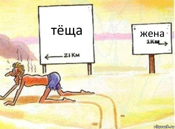 тёща жена