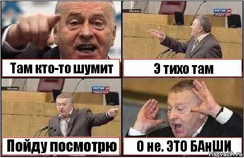 Там кто-то шумит Э тихо там Пойду посмотрю О не. ЭТО БАнШИ, Комикс жиреновский