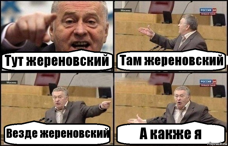 Тут жереновский Там жереновский Везде жереновский А какже я, Комикс Жириновский