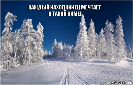  каждый Находкинец мечтает
о такой зиме!