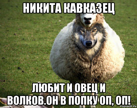 никита кавказец любит и овец и волков.он в попку оп, оп!, Мем Злая Овца