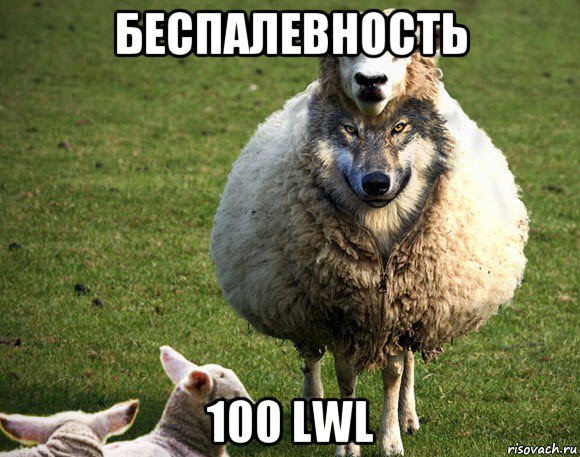 беспалевность 100 lwl, Мем Злая Овца