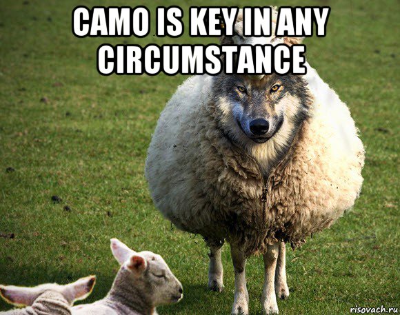 camo is key in any circumstance , Мем Злая Овца