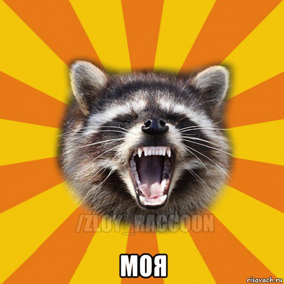  моя