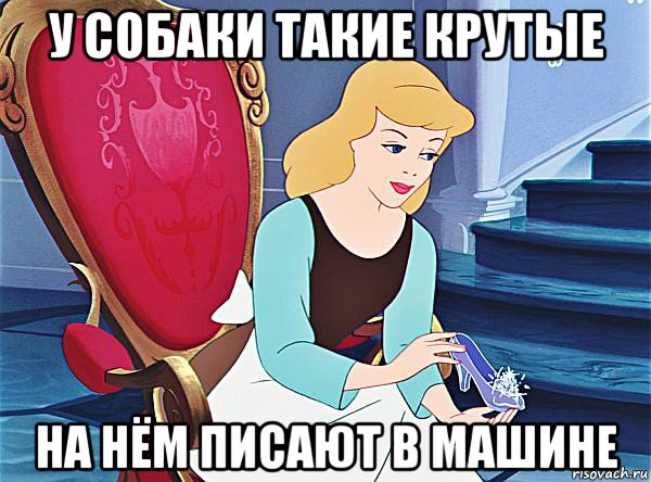 у собаки такие крутые на нём писают в машине