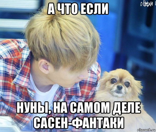 а что если нуны, на самом деле сасен-фантаки