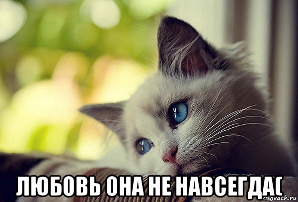  любовь она не навсегда(