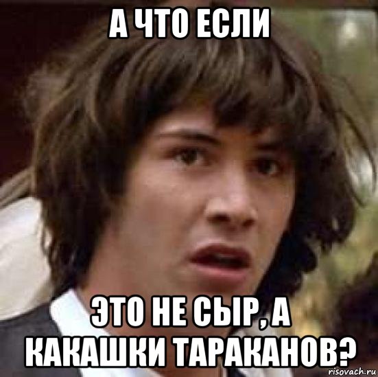 а что если это не сыр, а какашки тараканов?, Мем А что если (Киану Ривз)