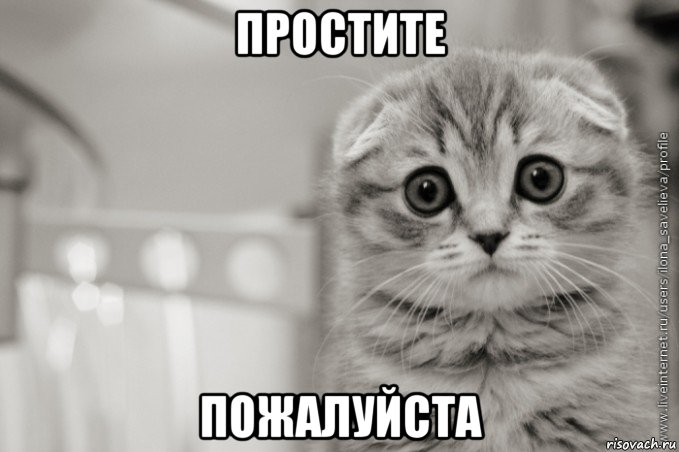простите пожалуйста