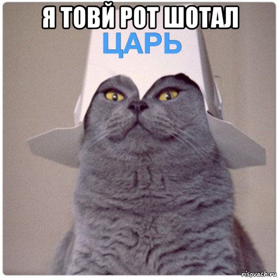 я товй рот шотал 