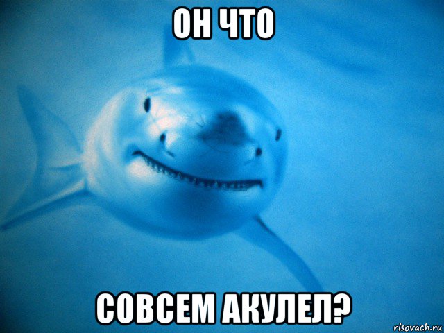 он что совсем акулел?, Мем Акула
