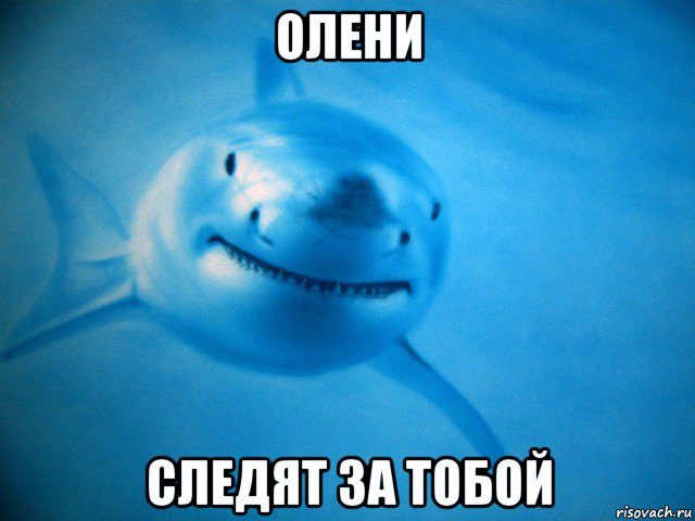 олени следят за тобой, Мем Акула