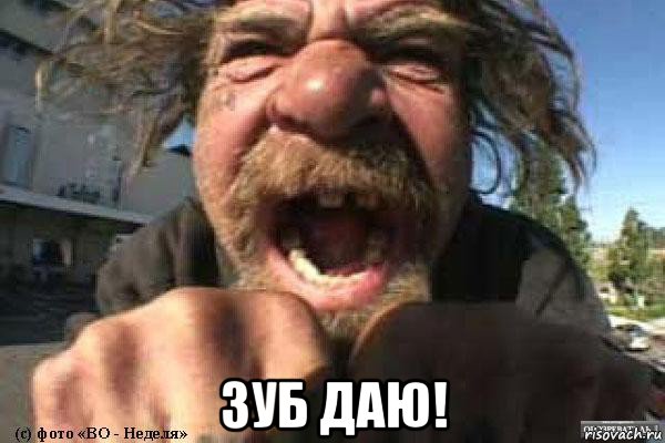  зуб даю!