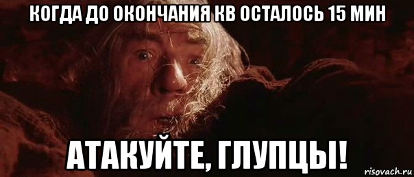 когда до окончания кв осталось 15 мин атакуйте, глупцы!, Мем бегите глупцы