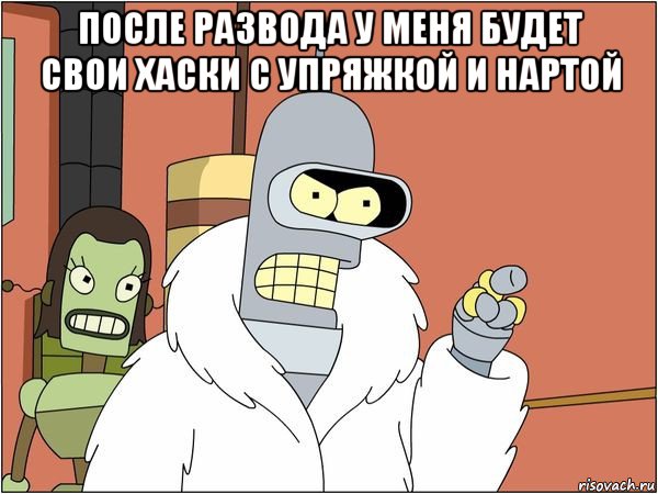 после развода у меня будет свои хаски с упряжкой и нартой , Мем Бендер