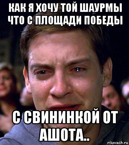 как я хочу той шаурмы что с площади победы с свининкой от ашота..