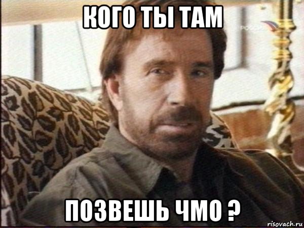 кого ты там позвешь чмо ?, Мем чак норрис