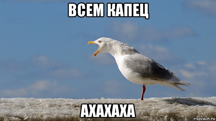 всем капец ахахаха