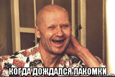  когда дождался лакомки