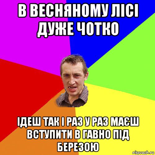 в весняному лісі дуже чотко ідеш так і раз у раз маєш вступити в гавно під березою, Мем Чоткий паца