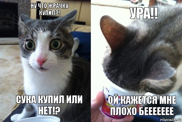 Ну что жрачку купил?! Сука купил или нет!? Ура!! Ой кажется мне плохо беееееее, Комикс  Да не бред какой-то (4 зоны)