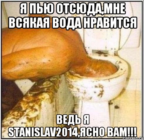 я пью отсюда,мне всякая вода нравится ведь я stanislav2014,ясно вам!!!, Мем Дайвер