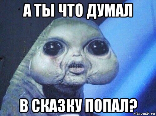 а ты что думал в сказку попал?