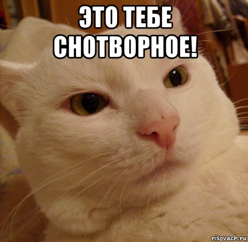 это тебе снотворное! , Мем Дерзкий котэ