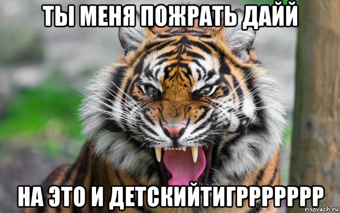 ты меня пожрать дайй на это и детскийтигррррррр