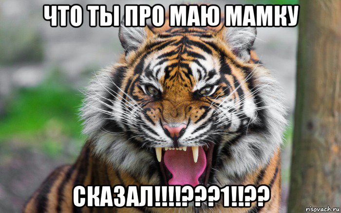 что ты про маю мамку сказал!!!!???1!!??