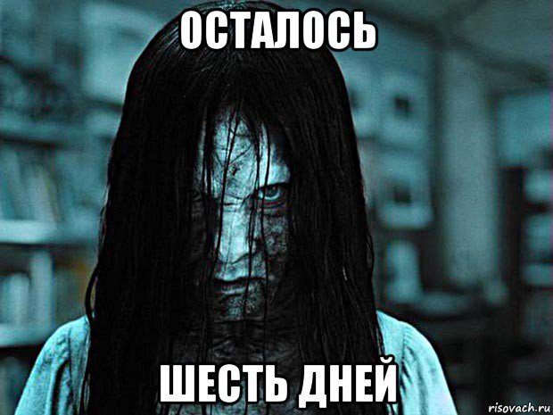 осталось шесть дней, Мем До посвяти осталось 7 дней
