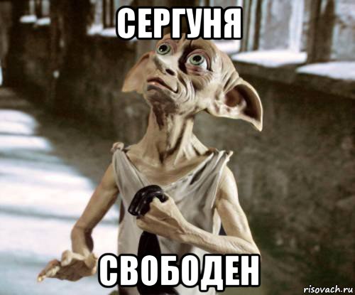 сергуня свободен