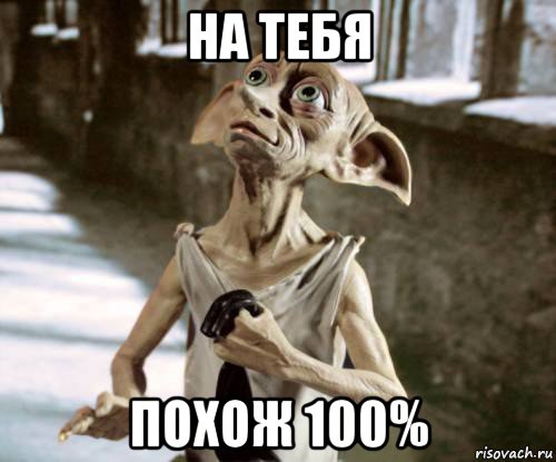 на тебя похож 100%, Мем добби