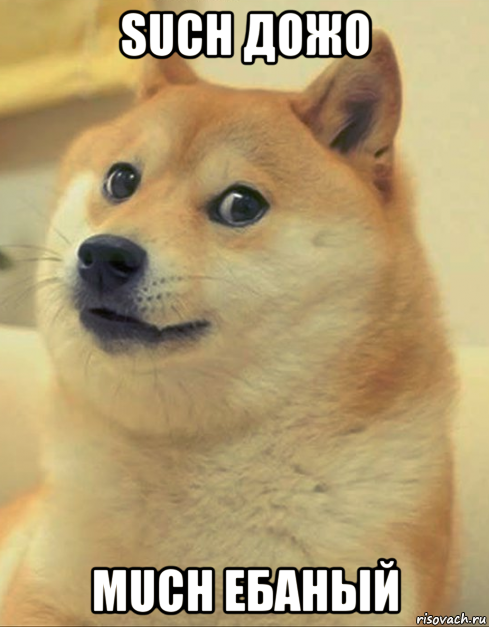 such дожо much ебаный, Мем doge woof