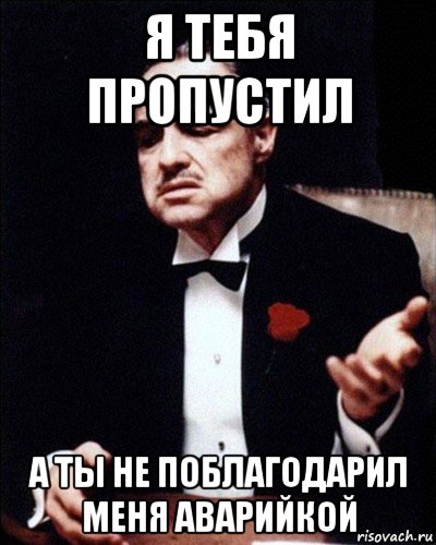 я тебя пропустил а ты не поблагодарил меня аварийкой