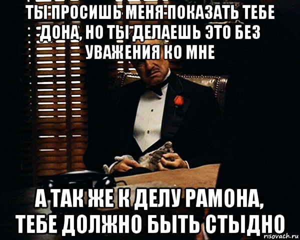 ты просишь меня показать тебе дона, но ты делаешь это без уважения ко мне а так же к делу рамона, тебе должно быть стыдно, Мем Дон Вито Корлеоне