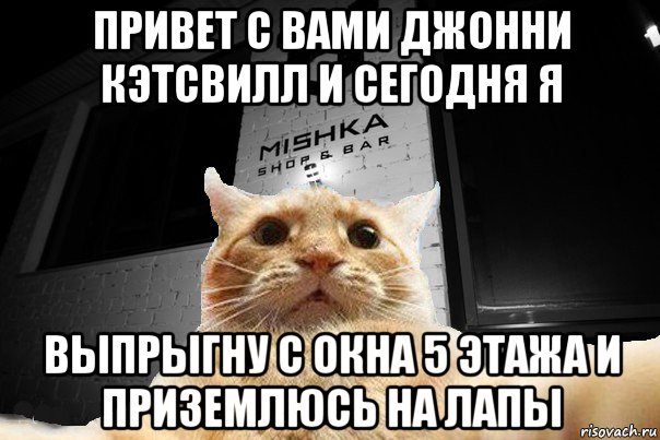 привет с вами джонни кэтсвилл и сегодня я выпрыгну с окна 5 этажа и приземлюсь на лапы, Мем   Джонни Кэтсвилл