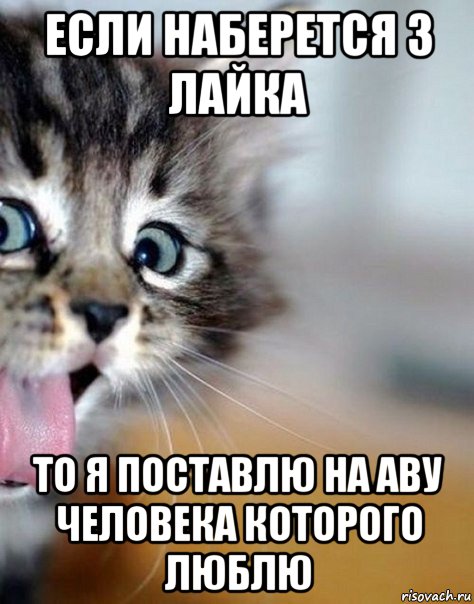 если наберется 3 лайка то я поставлю на аву человека которого люблю