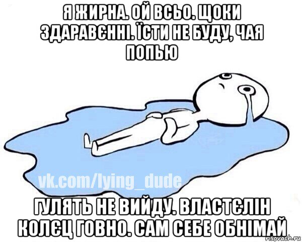 я жирна. ой всьо. щоки здаравєнні. їсти не буду, чая попью гулять не вийду. властєлін колєц говно. сам себе обнімай, Мем Этот момент когда