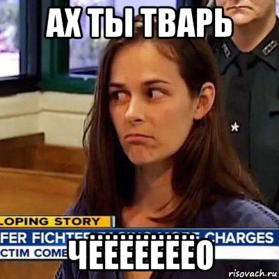 ах ты тварь чёёёёёёёо, Мем   Фихтер