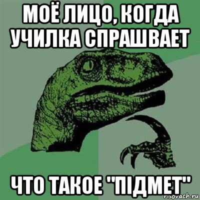 моё лицо, когда училка спрашвает что такое "підмет", Мем Филосораптор