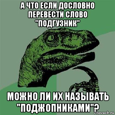 а что если дословно перевести слово "подгузник" можно ли их называть "поджопниками"?, Мем Филосораптор