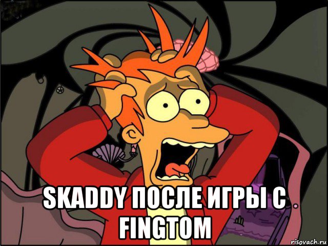  skaddy после игры с fingtom, Мем Фрай в панике