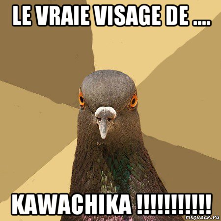 le vraie visage de .... kawachika !!!!!!!!!!!, Мем голубь