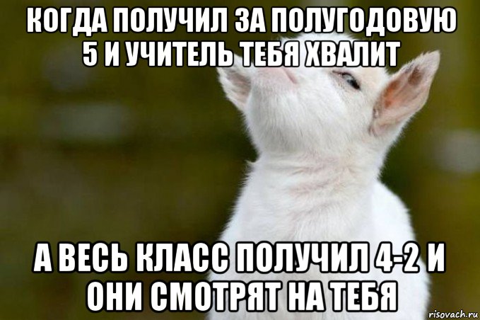 когда получил за полугодовую 5 и учитель тебя хвалит а весь класс получил 4-2 и они смотрят на тебя, Мем  Гордый козленок