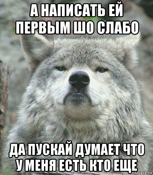 а написать ей первым шо слабо да пускай думает что у меня есть кто еще, Мем    Гордый волк