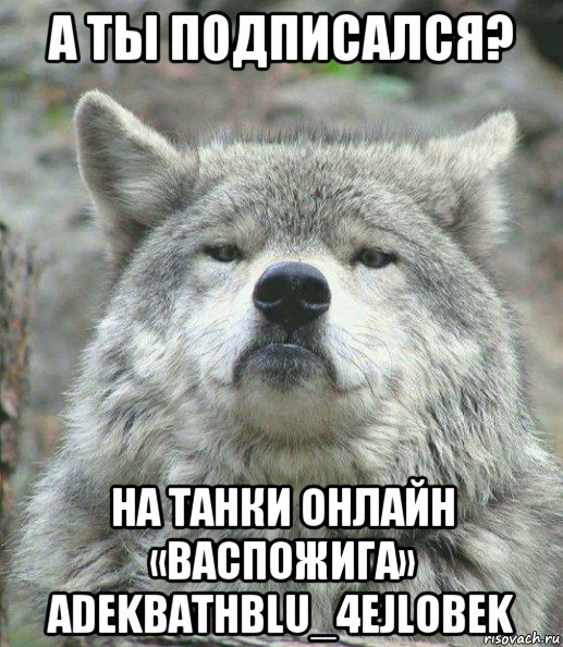 а ты подписался? на танки онлайн «васпожига» adekbathblu_4ejlobek, Мем    Гордый волк